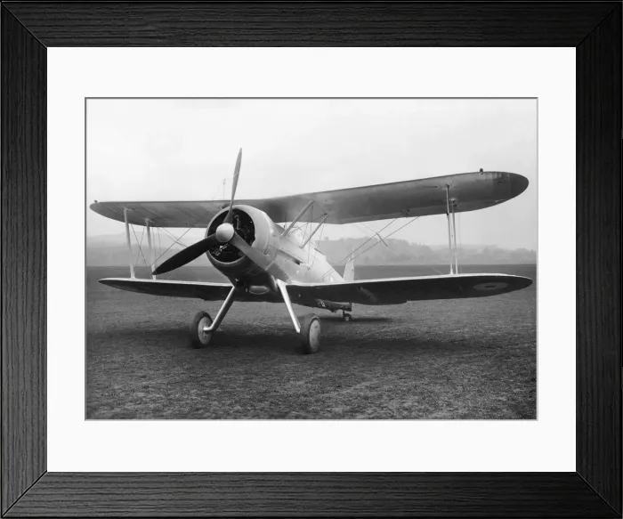 Framed Print : Gloster Sea Gladiator Framed Print : Gloster Sea Gladiator