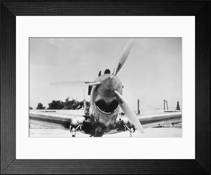 Framed Print : Curtiss P-40 Warhawk Framed Print : Curtiss P-40 Warhawk