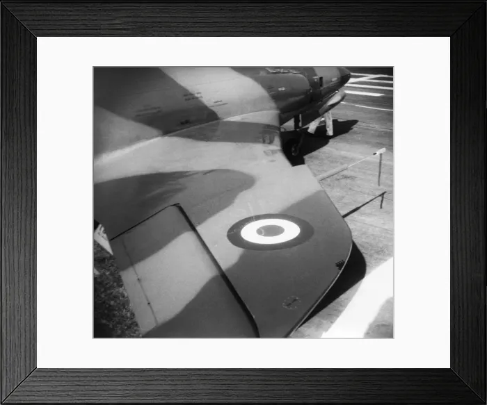 Framed Print : Supermarine Swift Framed Print : Supermarine Swift