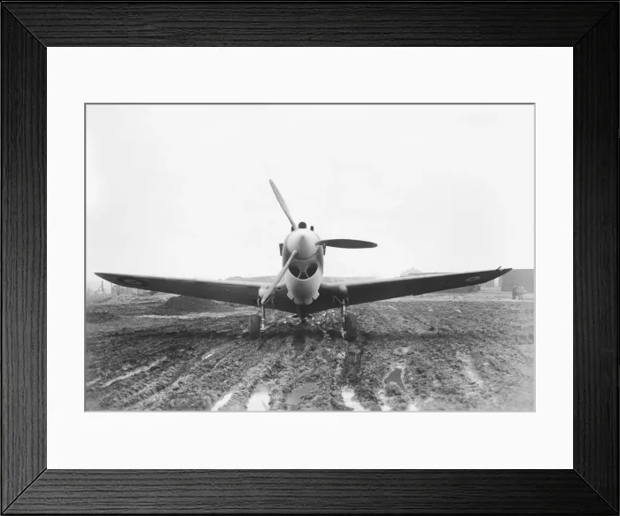 Framed Print : Curtiss P-40 Warhawk Framed Print : Curtiss P-40 Warhawk