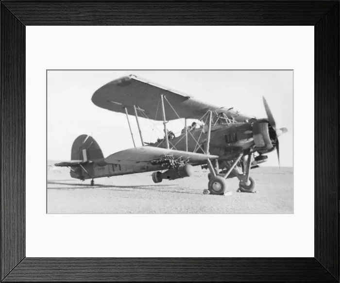 Framed Print : Fairey Swordfish Framed Print : Fairey Swordfish