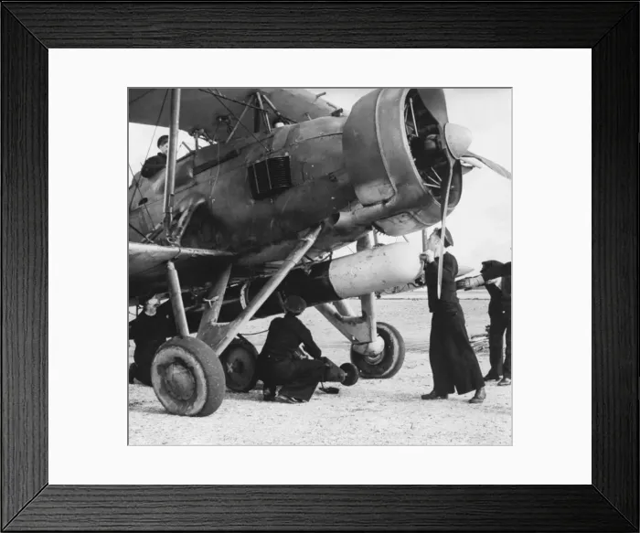 Framed Print : Fairey Swordfish Framed Print : Fairey Swordfish