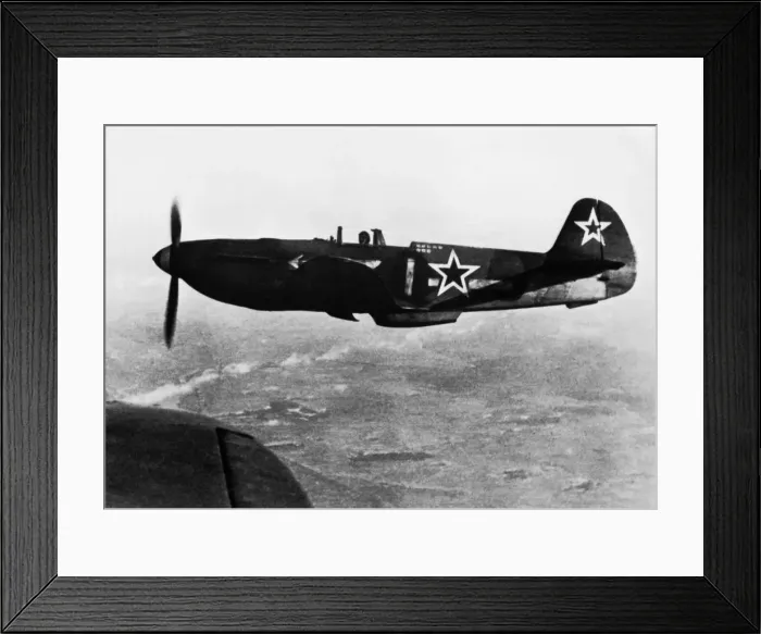 Framed Print : Yakovlev Yak-3 Framed Print : Yakovlev Yak-3