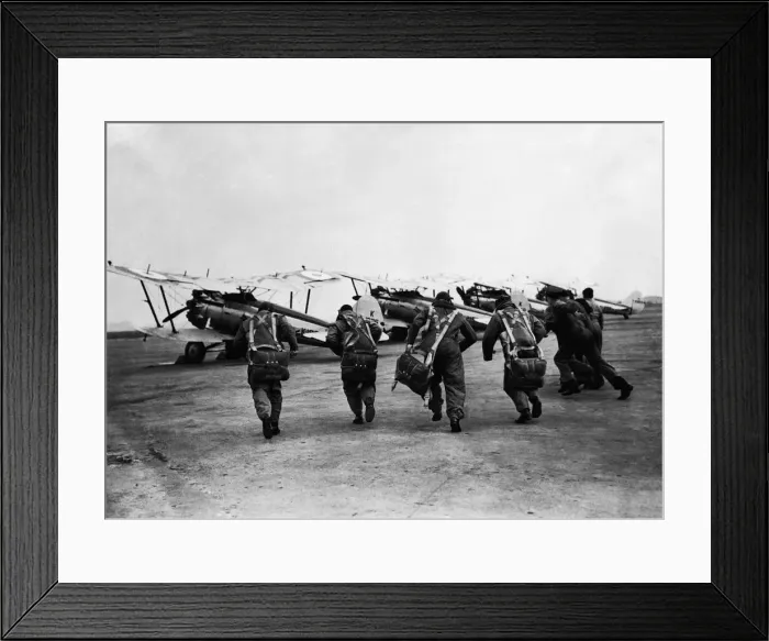 Framed Print : Bristol Bulldog Framed Print : Bristol Bulldog