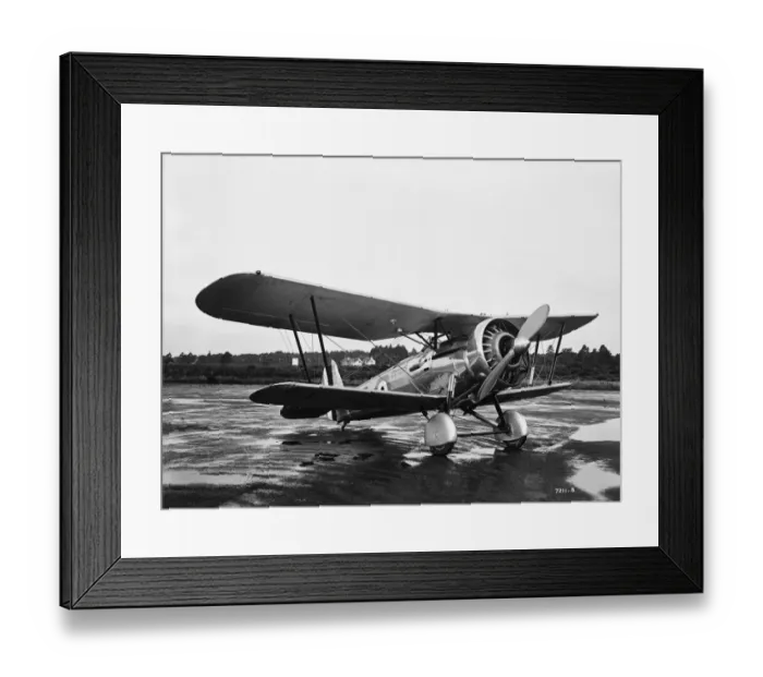 Framed Print : Bristol Bulldog Framed Print : Bristol Bulldog