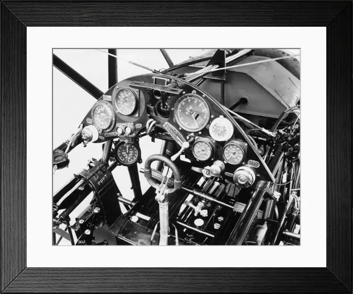 Framed Print : Bristol Bulldog Framed Print : Bristol Bulldog