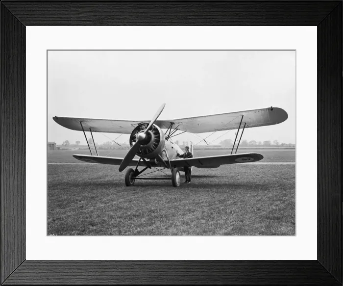 Framed Print : Bristol Bulldog Framed Print : Bristol Bulldog