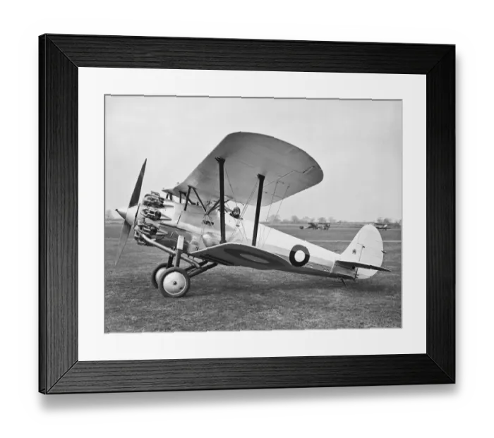 Framed Print : Bristol Bulldog Framed Print : Bristol Bulldog