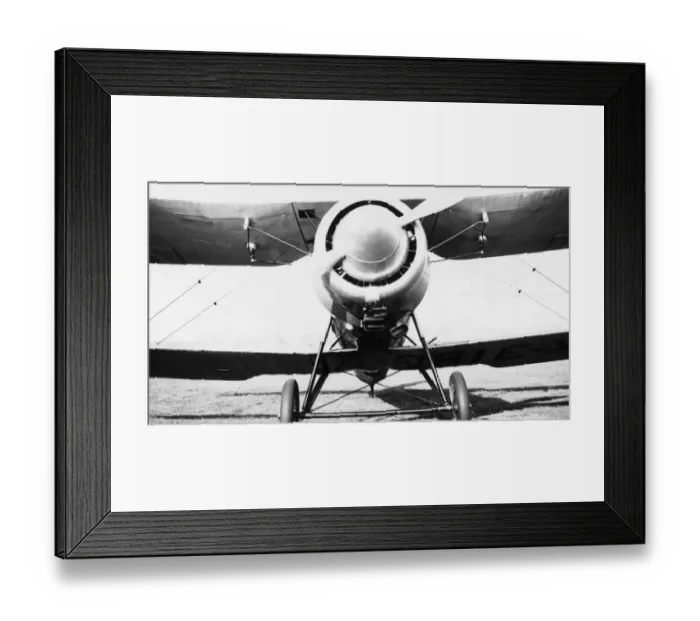 Framed Print : Bristol Bulldog Framed Print : Bristol Bulldog