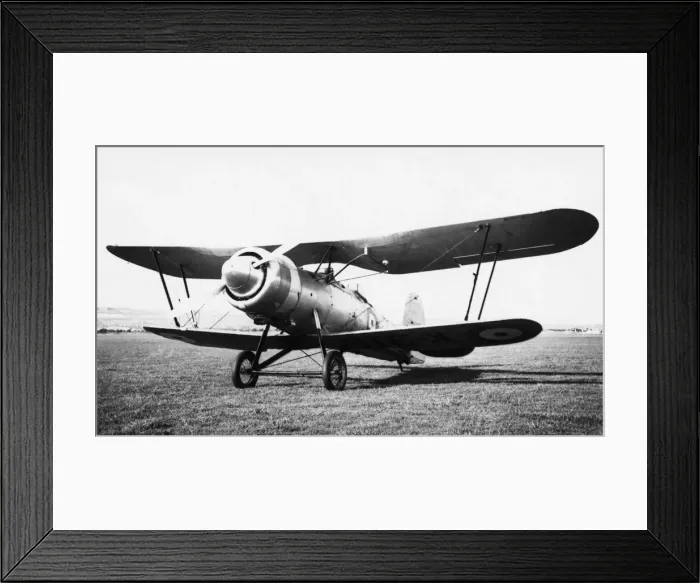 Framed Print : Bristol Bulldog Framed Print : Bristol Bulldog