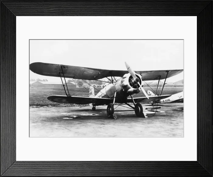 Framed Print : Bristol Bulldog Framed Print : Bristol Bulldog