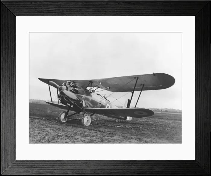 Framed Print : Bristol Bulldog Framed Print : Bristol Bulldog