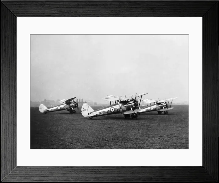 Framed Print : Bristol Bulldog Framed Print : Bristol Bulldog