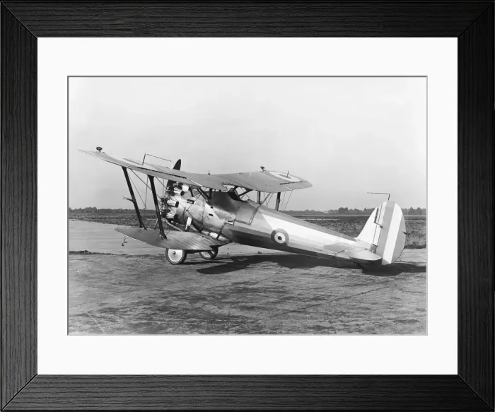 Framed Print : Bristol Bulldog Framed Print : Bristol Bulldog