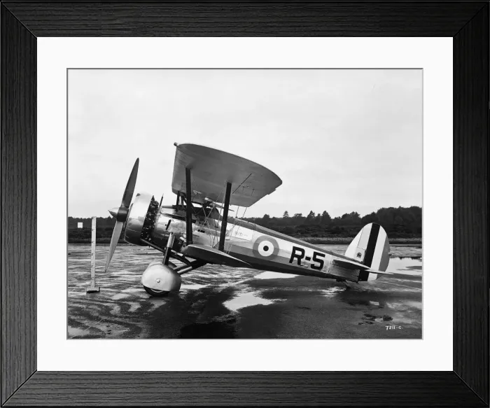 Framed Print : Bristol Bulldog Framed Print : Bristol Bulldog