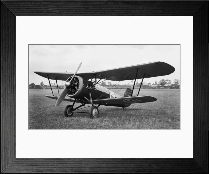 Framed Print : Bristol Bulldog Framed Print : Bristol Bulldog