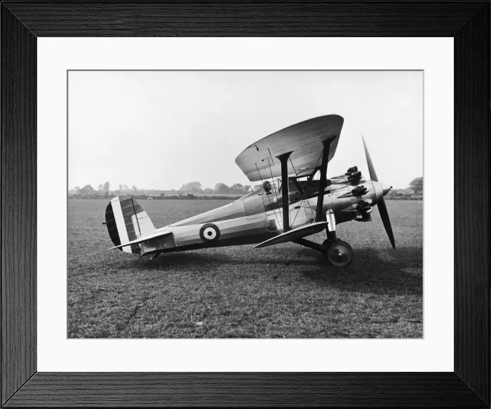 Framed Print : Bristol Bulldog Framed Print : Bristol Bulldog