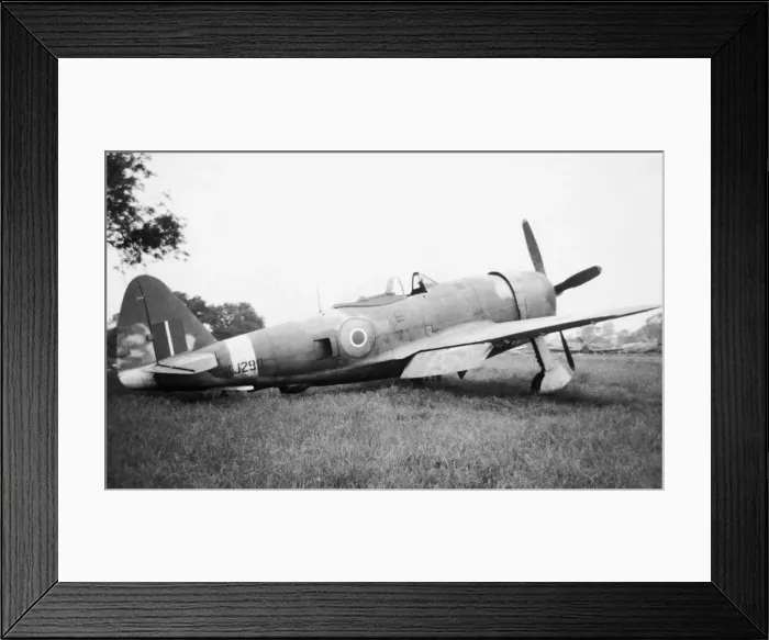 Framed Print : Republic P-47 Thunderbolt Framed Print : Republic P-47 Thunderbolt