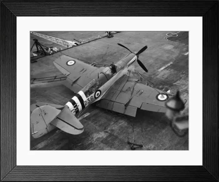 Framed Print : Fairey Firefly Framed Print : Fairey Firefly