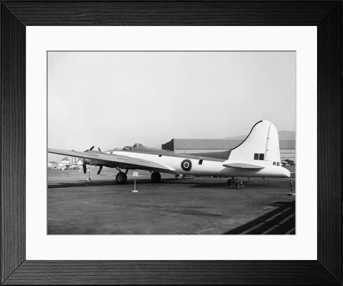 Framed Print : Boeing B-17 Flying Fortress Framed Print : Boeing B-17 Flying Fortress
