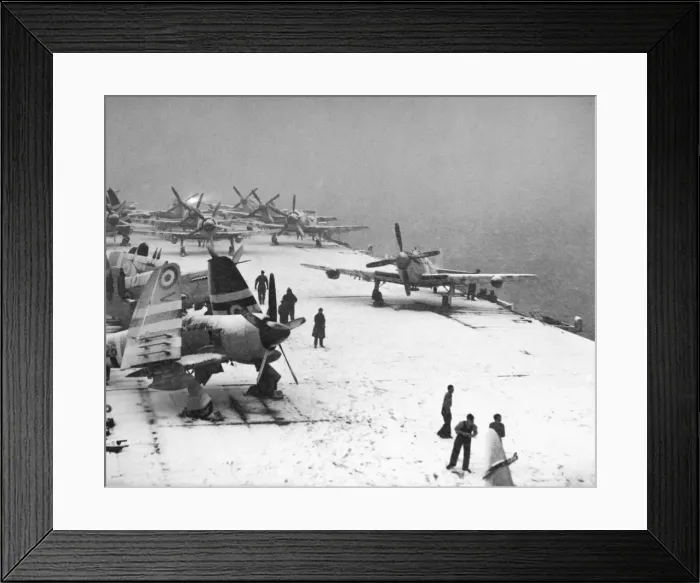 Framed Print : Hawker Sea Fury Framed Print : Hawker Sea Fury