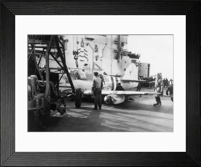 Framed Print : Fairey Firefly Framed Print : Fairey Firefly