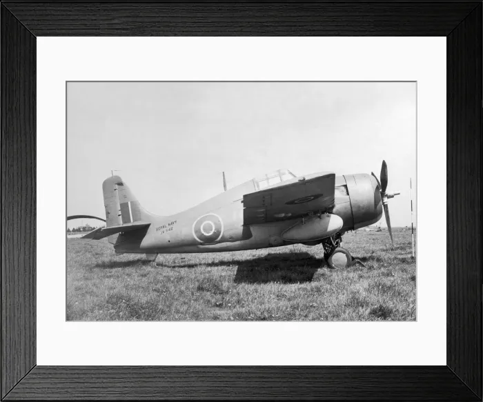 Framed Print : Grumman Wildcat Framed Print : Grumman Wildcat