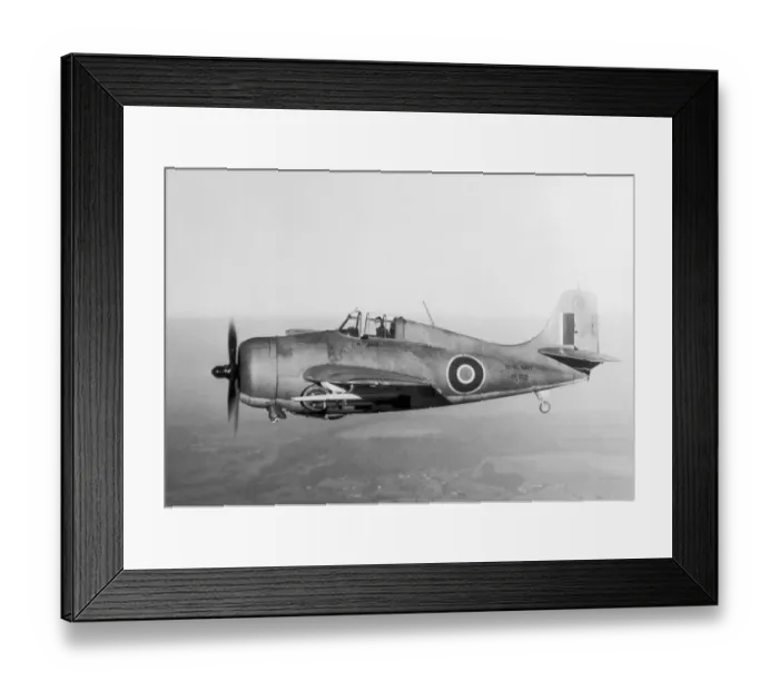 Framed Print : Grumman Wildcat Framed Print : Grumman Wildcat