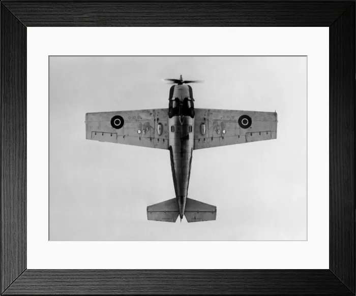 Framed Print : Grumman Wildcat