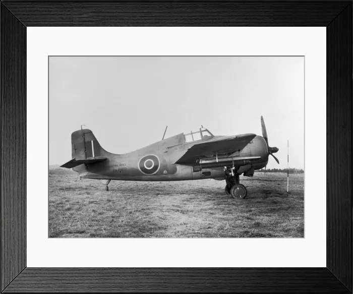 Framed Print : Grumman Wildcat Framed Print : Grumman Wildcat