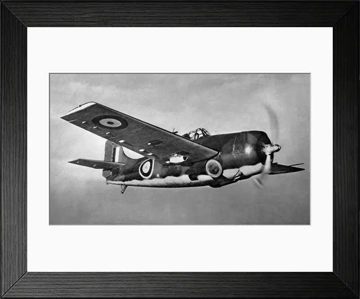 Framed Print : Grumman Wildcat Framed Print : Grumman Wildcat