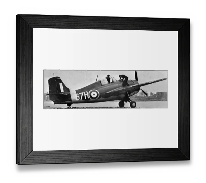 Framed Print : Grumman Wildcat Framed Print : Grumman Wildcat