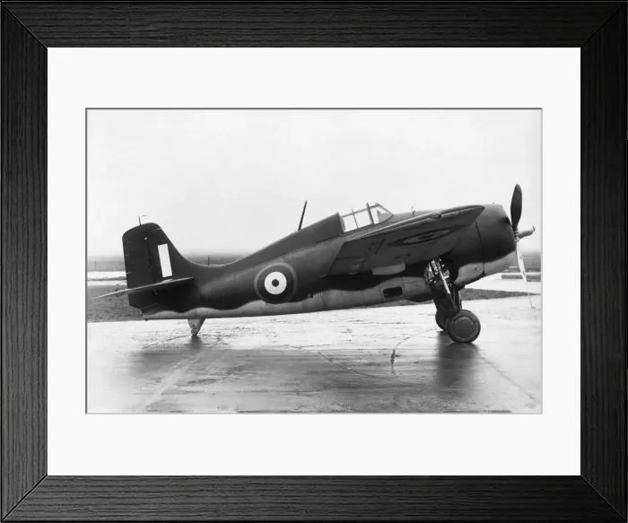 Framed Print : Grumman Wildcat Framed Print : Grumman Wildcat