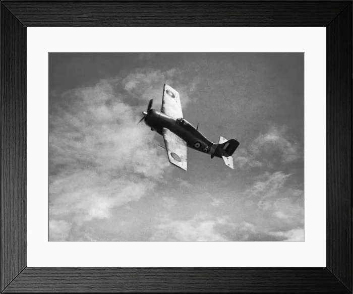 Framed Print : Grumman Wildcat Framed Print : Grumman Wildcat
