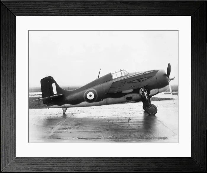 Framed Print : Grumman Wildcat Framed Print : Grumman Wildcat