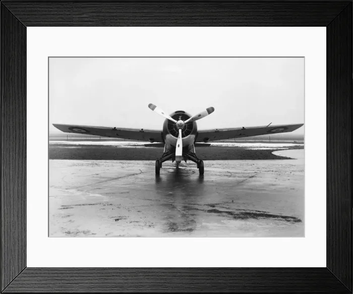 Framed Print : Grumman Wildcat Framed Print : Grumman Wildcat
