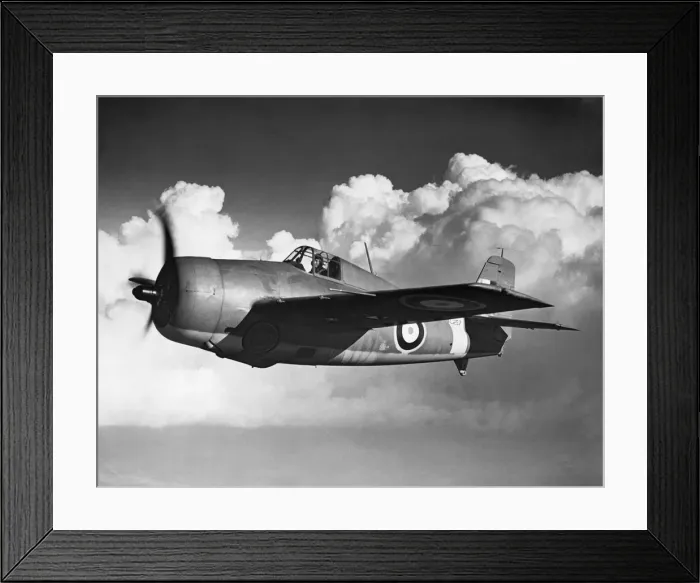 Framed Print : Grumman Wildcat Framed Print : Grumman Wildcat