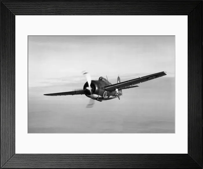 Framed Print : Grumman Wildcat Framed Print : Grumman Wildcat