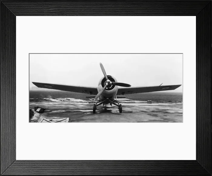 Framed Print : Grumman Wildcat Framed Print : Grumman Wildcat