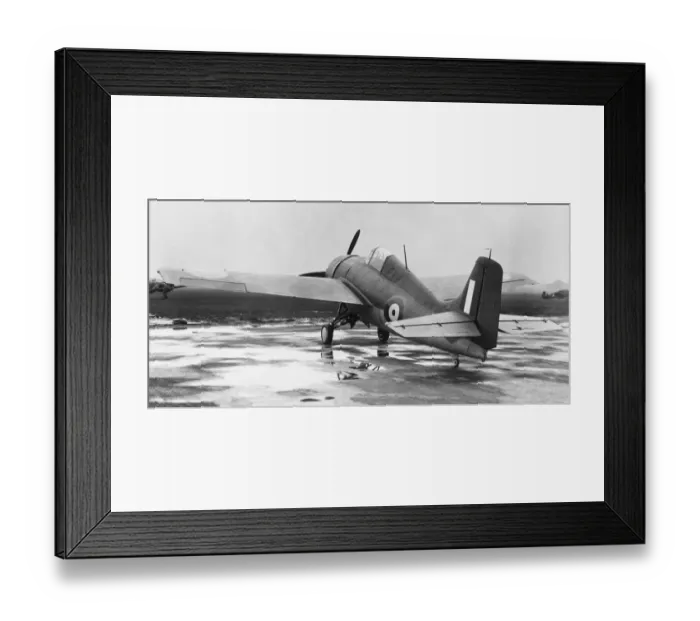Framed Print : Grumman Wildcat Framed Print : Grumman Wildcat
