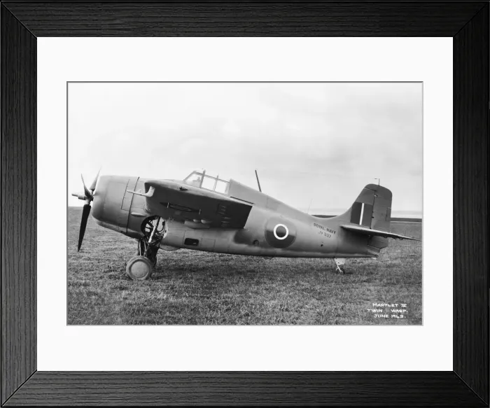 Framed Print : Grumman Wildcat Framed Print : Grumman Wildcat