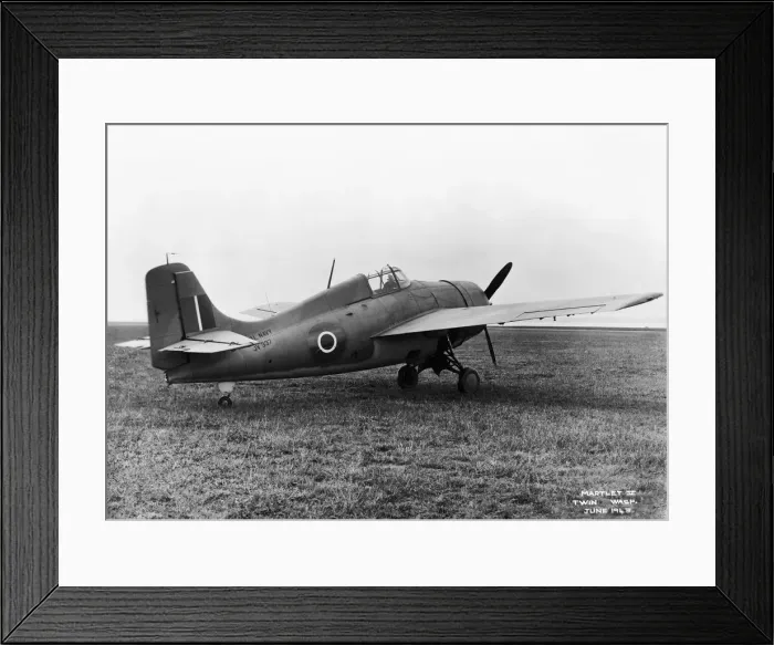 Framed Print : Grumman Wildcat Framed Print : Grumman Wildcat