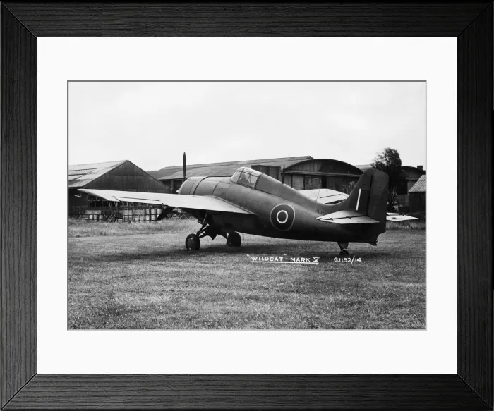 Framed Print : Grumman Wildcat Framed Print : Grumman Wildcat