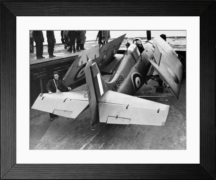 Framed Print : Grumman Wildcat Framed Print : Grumman Wildcat
