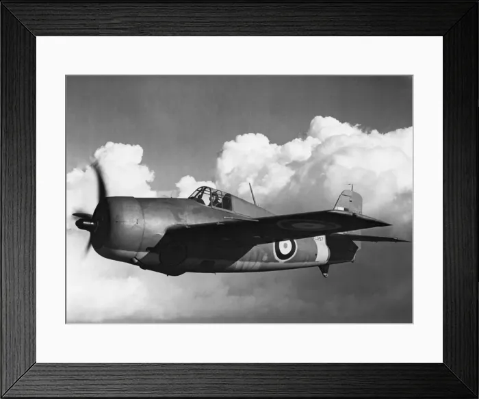 Framed Print : Grumman Wildcat Framed Print : Grumman Wildcat