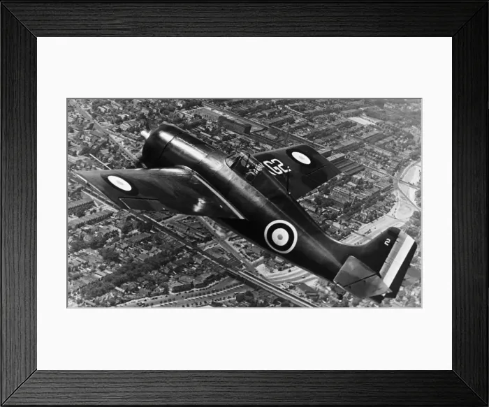 Framed Print : Grumman Wildcat Framed Print : Grumman Wildcat