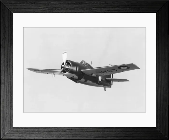 Framed Print : Grumman Wildcat Framed Print : Grumman Wildcat