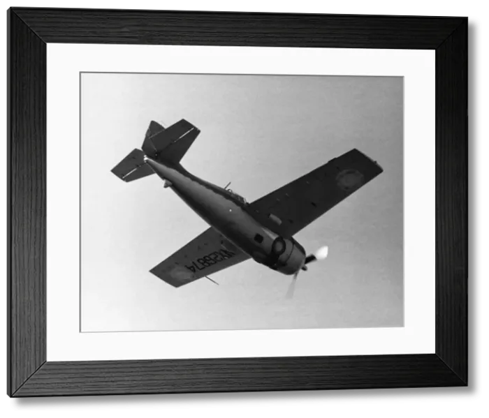 Framed Print : Grumman Wildcat Framed Print : Grumman Wildcat