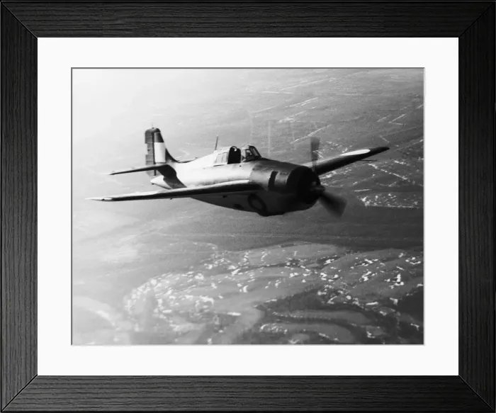 Framed Print : Grumman Wildcat Framed Print : Grumman Wildcat