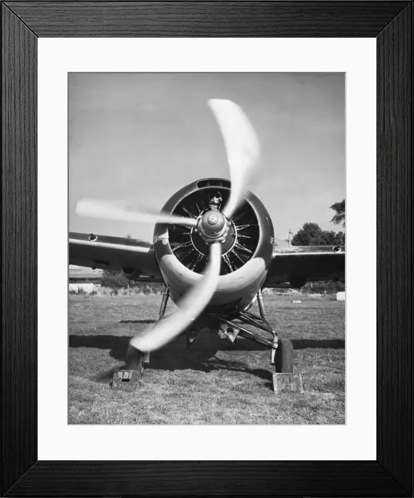 Framed Print : Grumman Wildcat Framed Print : Grumman Wildcat